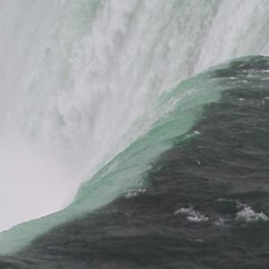 Meet your Posher, Norma